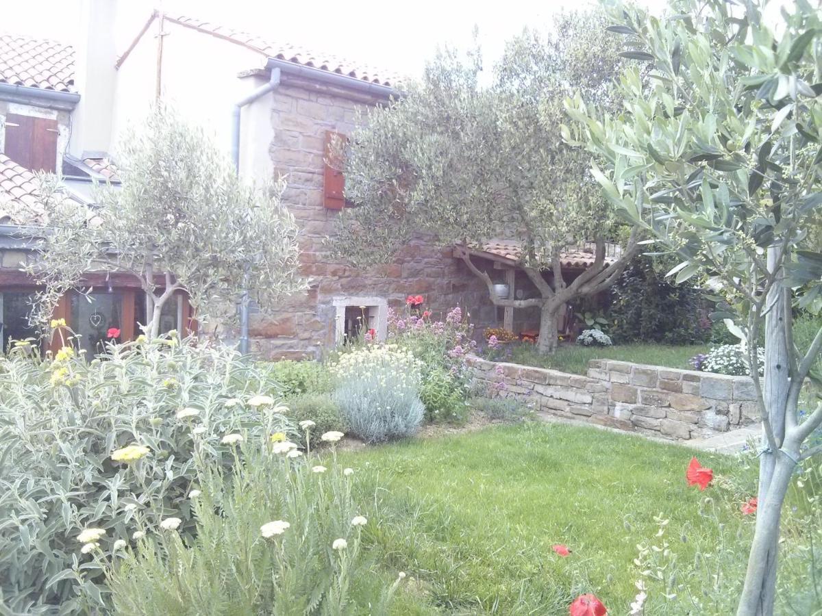 Istrian Stone House Villa Secovlje Exterior photo